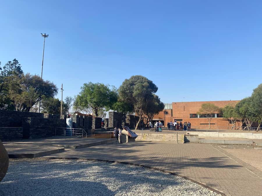 Soweto Township Tour - Who should book this Soweto experience?
