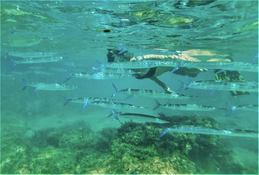 St. Lucia: Cape Vidal Snorkeling Adventure - From St. Lucia to Cape Vidal beach