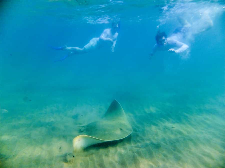 St. Lucia: Cape Vidal Snorkeling Adventure - Practical details that make the day easier