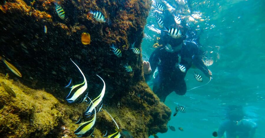 St. Lucia: Cape Vidal Snorkeling Adventure - Should you book this Cape Vidal snorkeling trip?