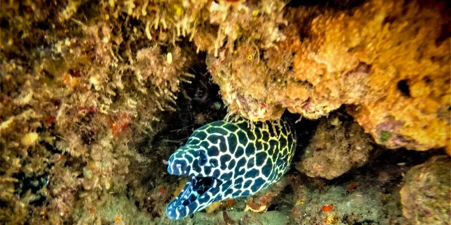 St. Lucia: Cape Vidal Snorkeling Adventure - The beach briefing and equipment fitting