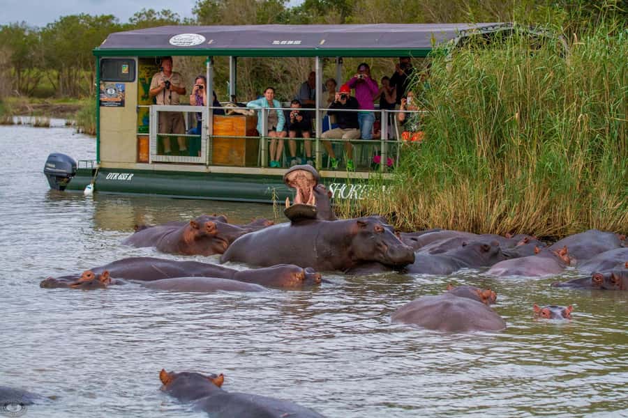 St Lucia: Hippo and Crocodile Cruise on a 15-Seat Vessel - Why Lake St Lucia is such a good wildlife setting