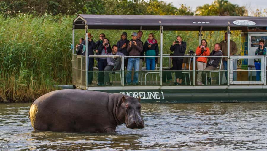 St Lucia: Hippo and Crocodile Cruise on a 15-Seat Vessel - Boarding the 15-seat boat at Siyabonga Jetty