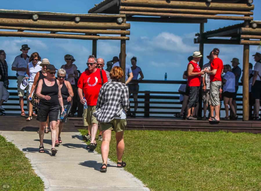 St Lucia: iSimangaliso Wetland Park: Full-Day/Half-Day Tour - What the Open Vehicle Adds