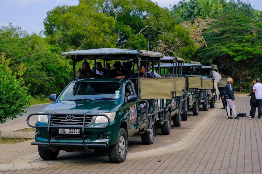 St Lucia: iSimangaliso Wetland Park: Full-Day/Half-Day Tour - Following Loop Roads, Lookouts, and Park Tracks