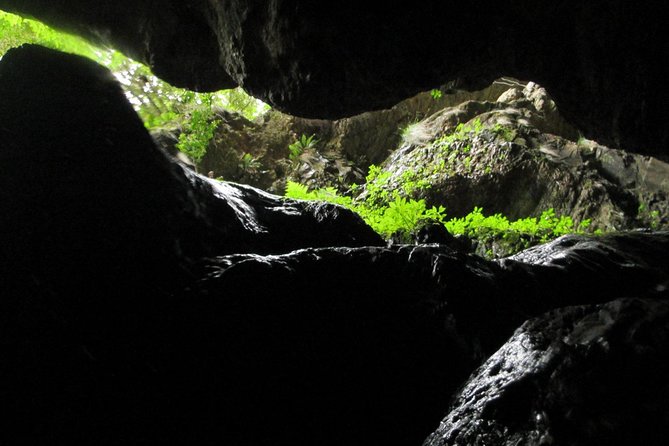 Standard Canyoning Trip in The Crags, South Africa - Guide support, safety, and group feel