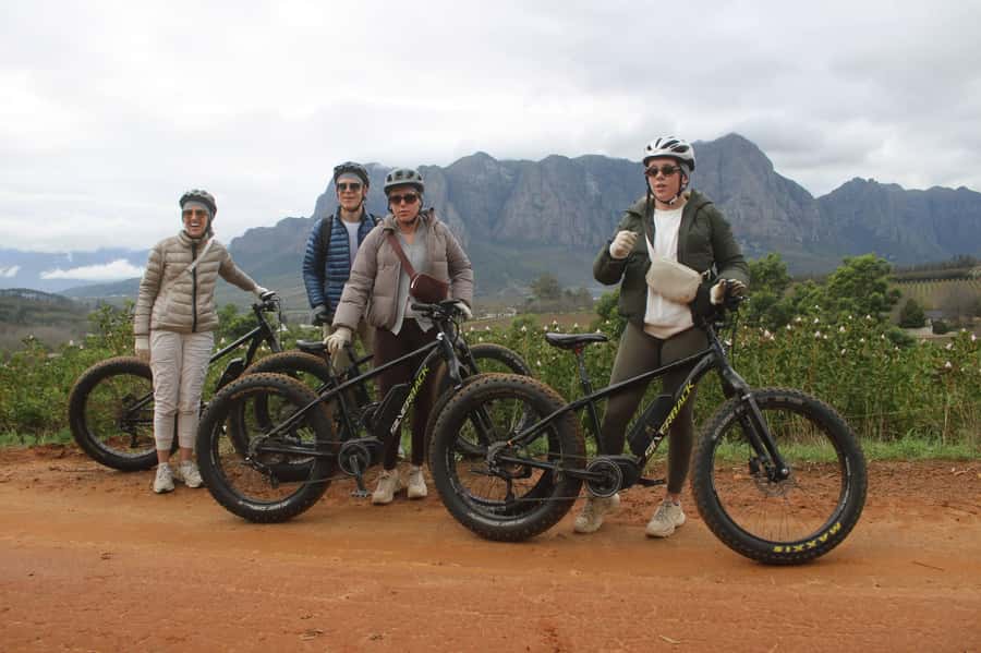 Stellenbosch: Countryside Banhoek valley E-Bike Wine Tour - Who Will Enjoy This Banhoek Tour Most