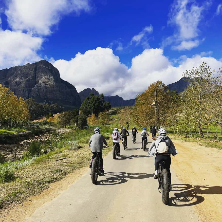 Stellenbosch: Countryside Banhoek valley E-Bike Wine Tour - Riding the Farm Roads Toward the First Estate