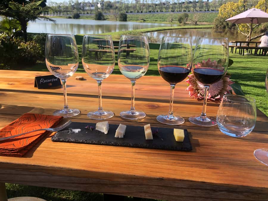 Stellenbosch: Daily Diffirent small group full day wine tour - L’Avenir and the cheese pairing