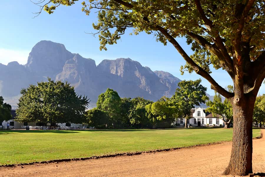 Stellenbosch: Eastern Route Hop-On Hop-Off Wine Tour - Why the Eastern Route works so well