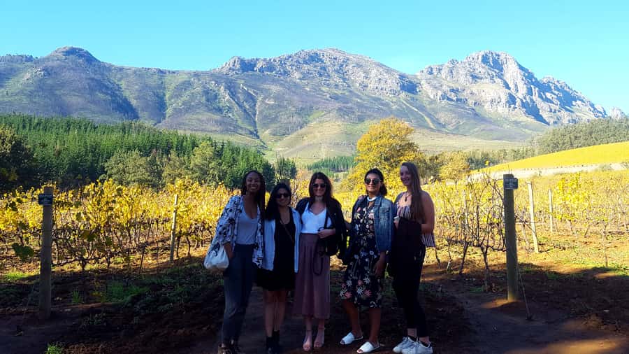 Stellenbosch: Eastern Route Hop-On Hop-Off Wine Tour - Crossing Helshoogte Pass
