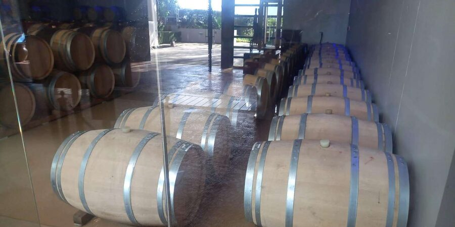 Stellenbosch, Franshoek ,Paarl Region (20 wine tastings) - Why the guide can make or break this tour