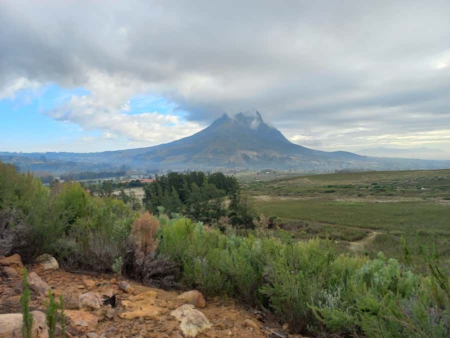 Stellenbosch: Half-Day Guided Nature Hike and Wine Tasting - Starting at Bethlehem Farm in Kylemore