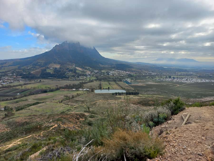 Stellenbosch: Half-Day Guided Nature Hike and Wine Tasting - Walking the 9km Banhoek Conservancy route