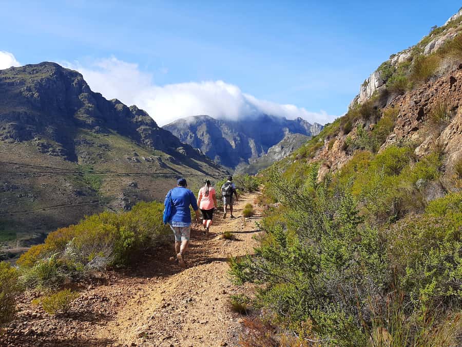Stellenbosch: Half-Day Guided Nature Hike and Wine Tasting - Mountain views before the wine