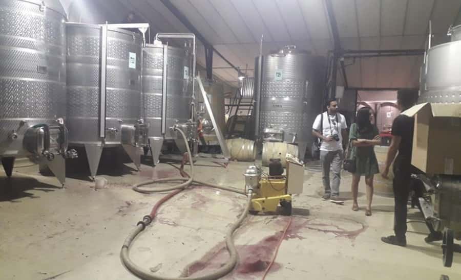 Stellenbosch: Half-Day Wine Tour - Why the guide matters on the long drives