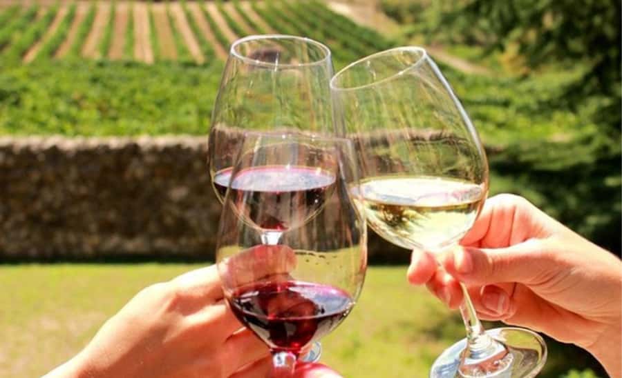 Stellenbosch: Half-Day Wine Tour - The second vineyard: biltong, chocolate, and minimal intervention