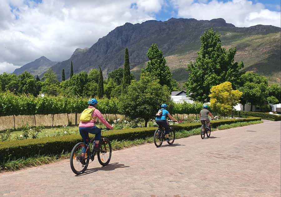 Stellenbosch: Historical Bike Tour & Wine Tasting - Second estate, Cape Dutch design and a private cellar