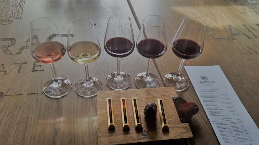 Stellenbosch: Historical Bike Tour & Wine Tasting - Guide style and the small-group advantage