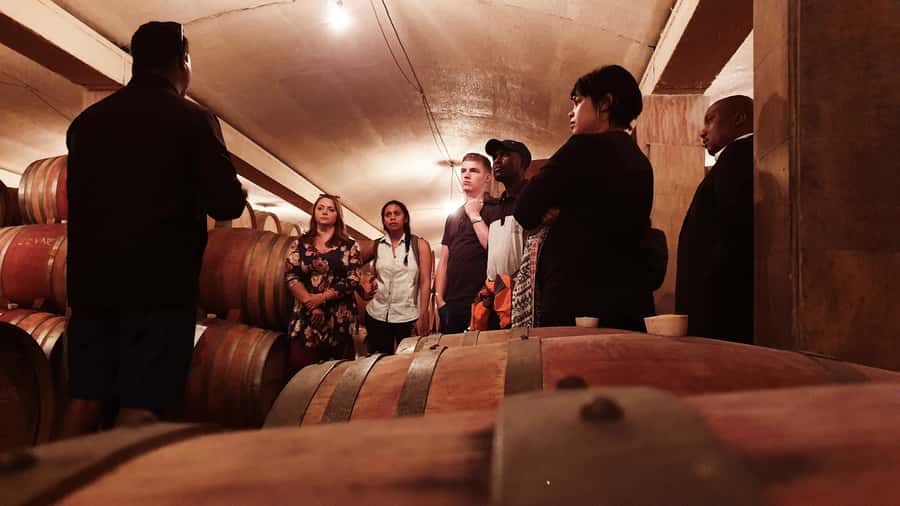 Stellenbosch: Historical Bike Tour & Wine Tasting - Stellenbosch town, history, and university lanes