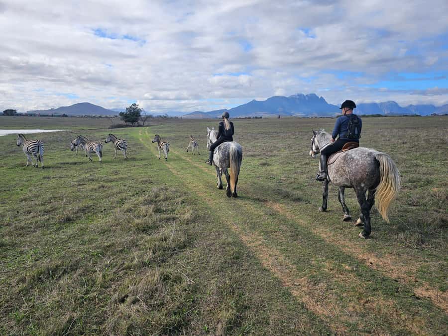 Stellenbosch: Horse Riding Wildlife Safari - Key points before you book