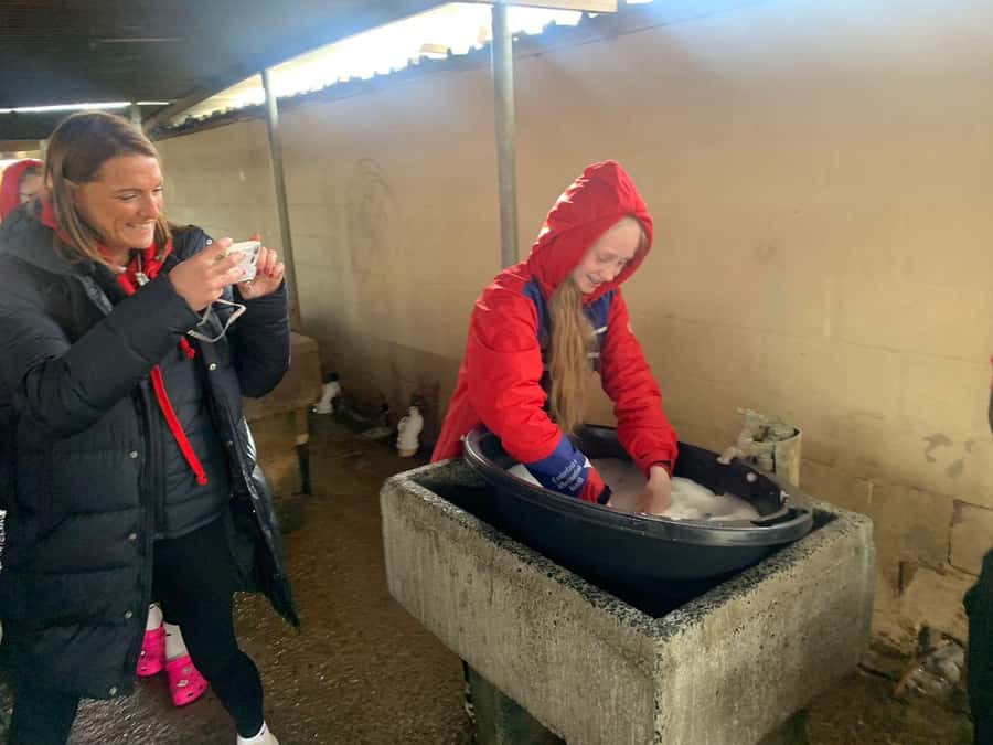 Stellenbosch: Khayamandi Township Walking Tour - Key points at a glance