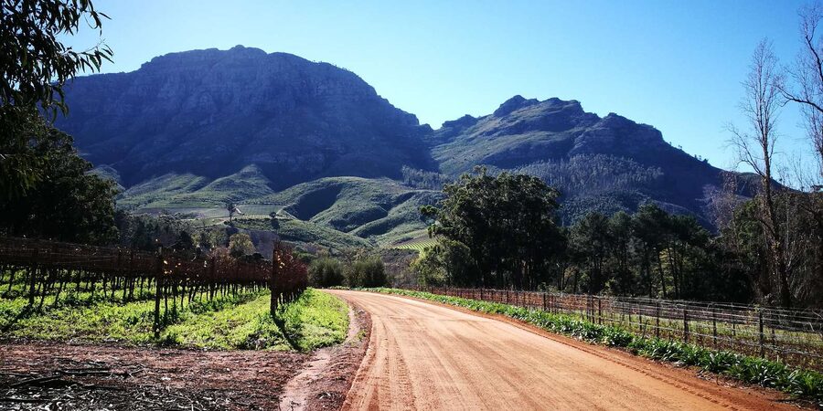 Stellenbosch: Stellenbosch E-Bike & Wine Tour (Shared Tour) - The value of $118 per person
