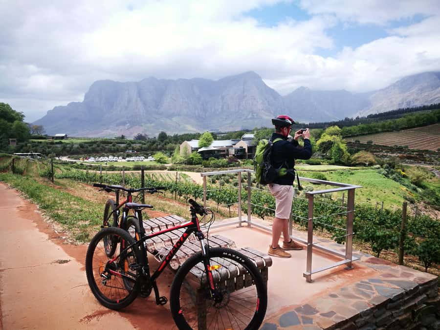 Stellenbosch: Stellenbosch E-Bike & Wine Tour (Shared Tour) - Practical details that matter