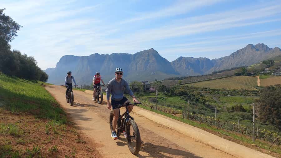 Stellenbosch: Stellenbosch E-Bike & Wine Tour (Shared Tour) - What the electric bike changes