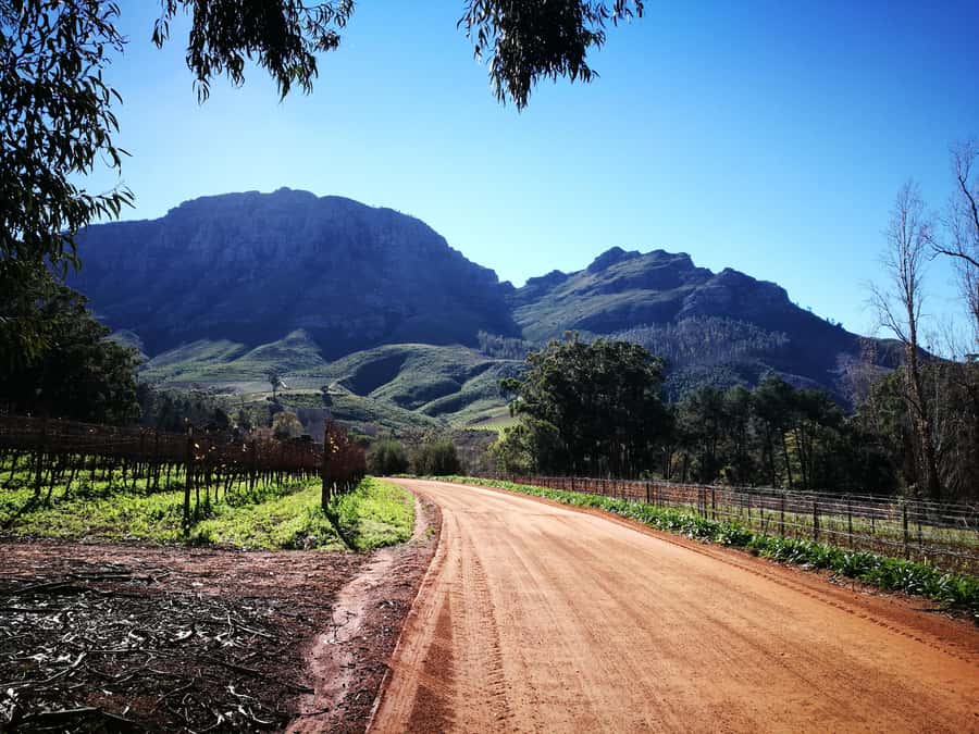 Stellenbosch: Stellenbosch Private E-Bike & Wine Tour - Key points at a glance