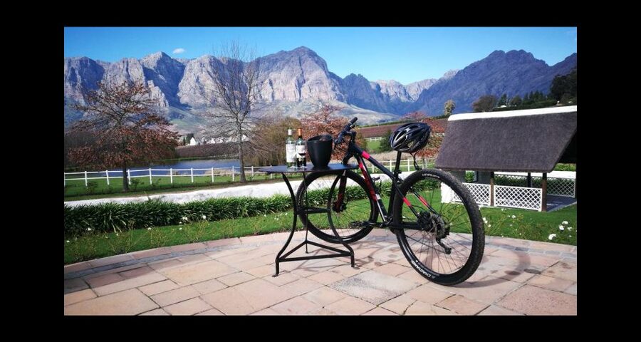 Stellenbosch: Stellenbosch Private E-Bike & Wine Tour - Who should choose this tour?
