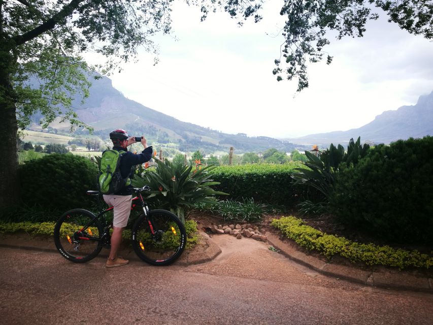 Stellenbosch: Stellenbosch Private E-Bike & Wine Tour - The short vineyard visit adds breathing room