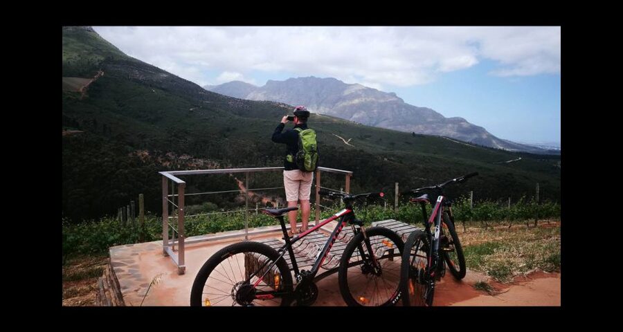 Stellenbosch: Stellenbosch Private E-Bike & Wine Tour - Guides, pace, and the private-group advantage