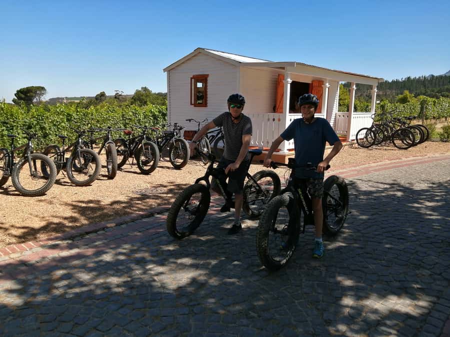 Stellenbosch: Wine Farm E-Bike Guided Tour - Key points to know before you book