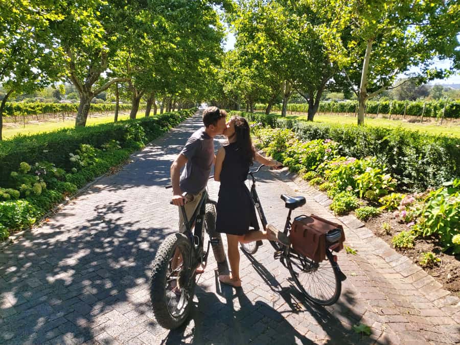 Stellenbosch: Wine Farm E-Bike Guided Tour - Why the e-bike works so well in Stellenbosch