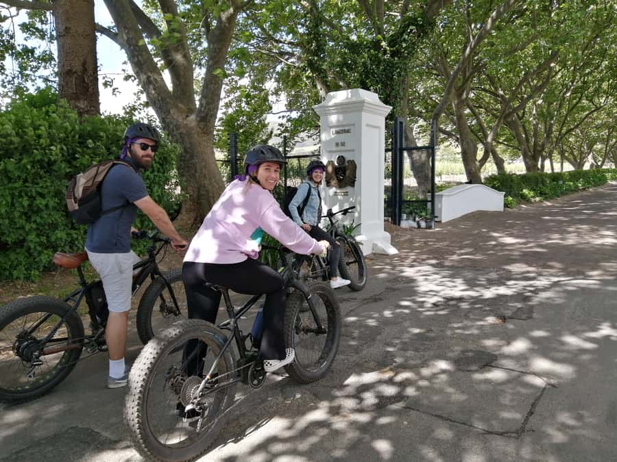Stellenbosch: Wine Farm E-Bike Guided Tour - The first wine farm stop, tasting and browsing