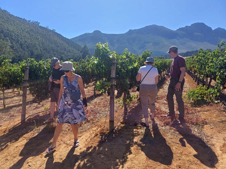 Stellenbosch wine tour, all inclusive of lunch and tastings. - Cellar access gives the day more substance