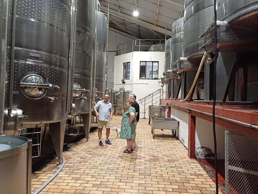 Stellenbosch wine tour, all inclusive of lunch and tastings. - Guides make the difference