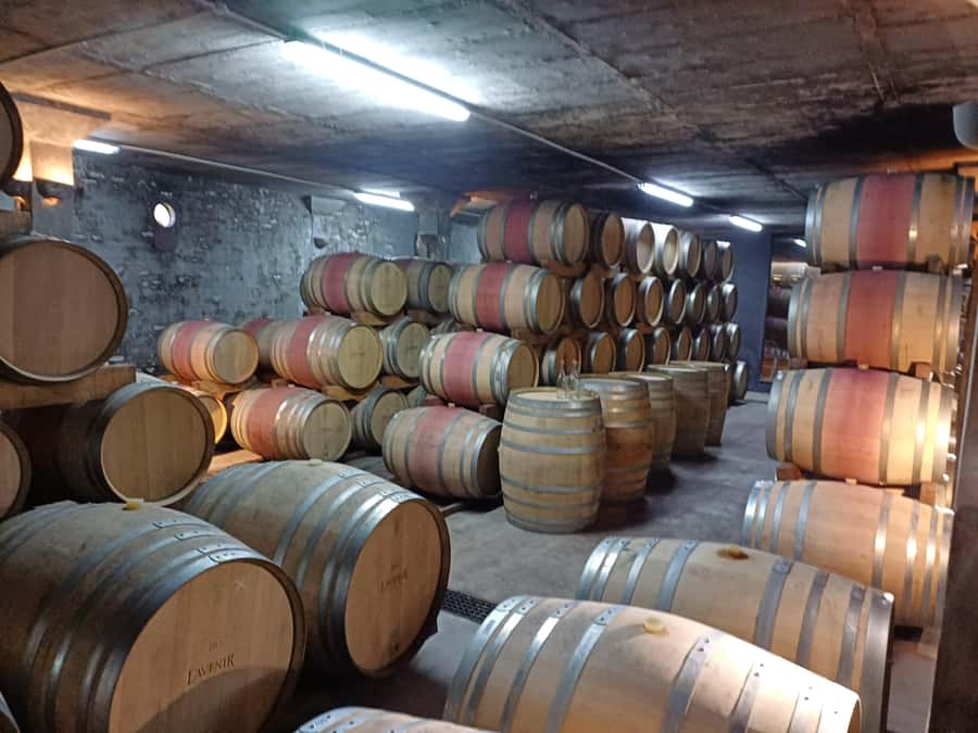 Stellenbosch wine tour, all inclusive of lunch and tastings. - Transport is simple, cool, and practical