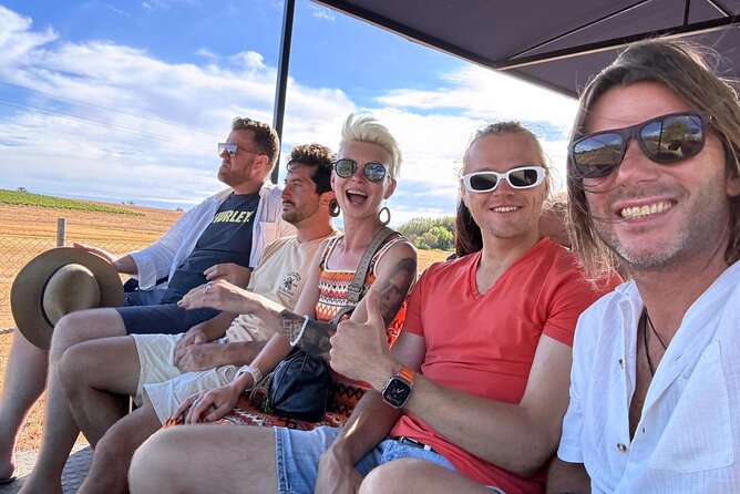 Stellenbosch Wine Tractor hop-on-hop off wine tasting tour - Families, non-drinkers, and mixed groups