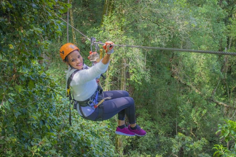 Storms River: Tsitsikamma National Park Zipline Canopy Tour - Key points to know before you book