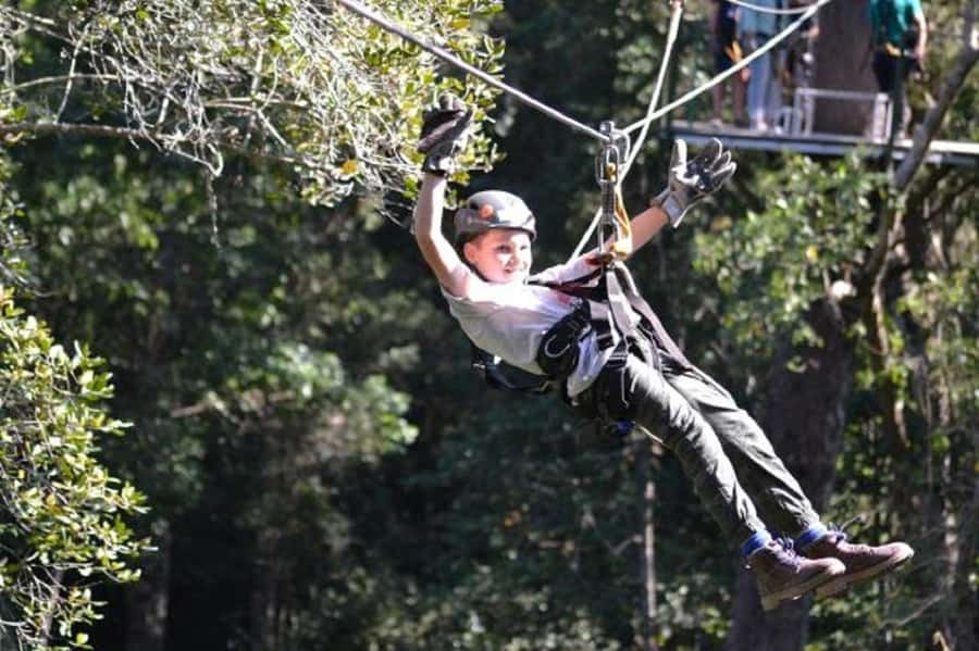 Storms River: Tsitsikamma National Park Zipline Canopy Tour - Starting in Storms River with a safety-first setup