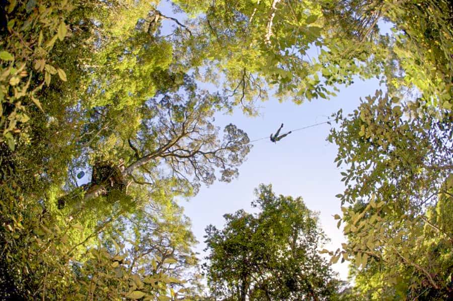 Storms River: Tsitsikamma National Park Zipline Canopy Tour - A good match for Tsitsikamma