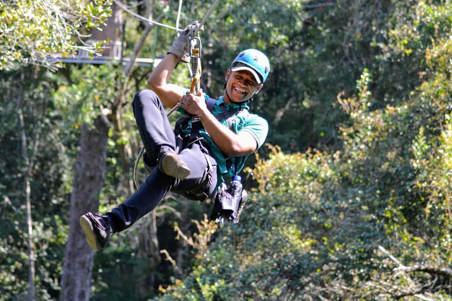 Storms River: Tsitsikamma National Park Zipline Canopy Tour - Moving through the Outeniqua Yellowwoods