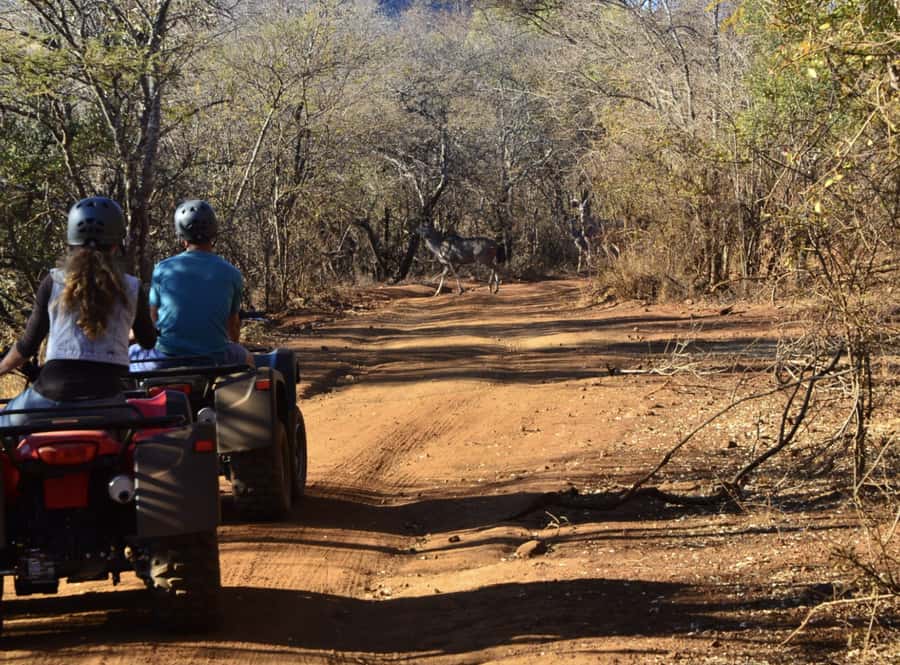 Sun City: Letsatsing Game Park Nature Trail Quad Bike Tour - Watching for Wildlife Along the Route