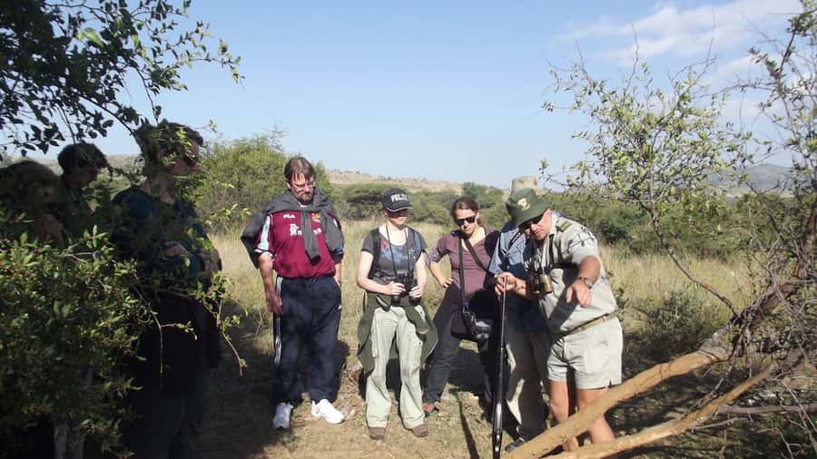 Sun City: Pilanesberg National Park Bush Walk - What four hours on foot changes at Pilanesberg