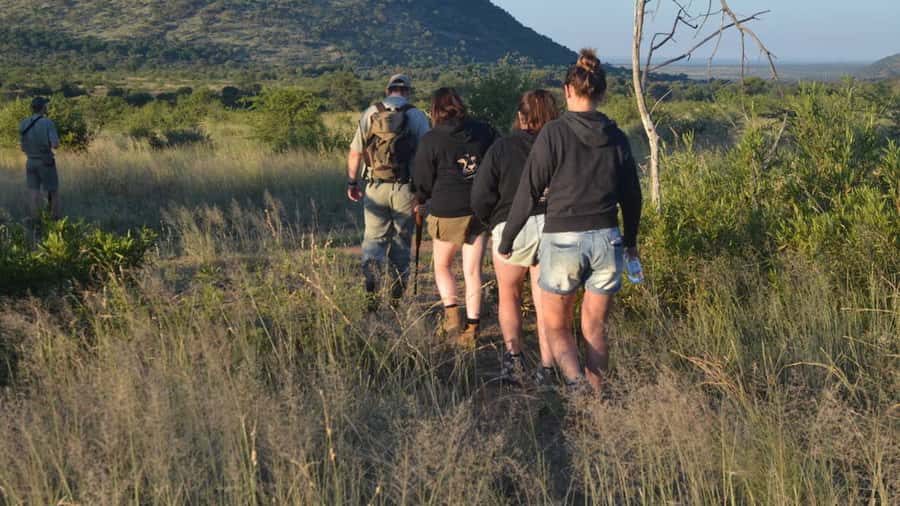 Sun City: Pilanesberg National Park Bush Walk - Wildlife from a safer distance