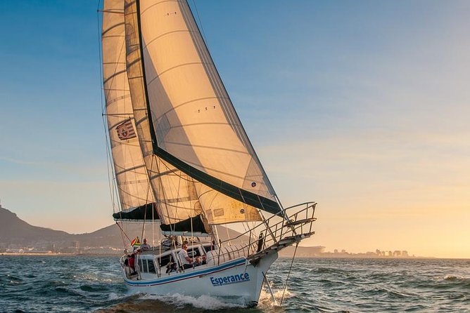 Sunset Champagne Cruise from Cape Town - Wind, clothing, and comfort on deck