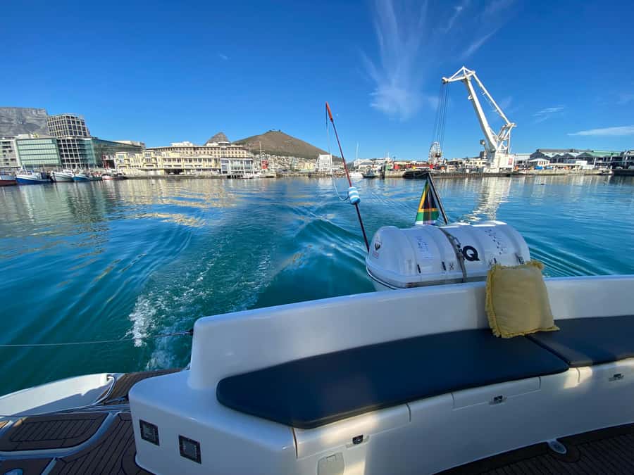 Sunset Cruise with Cape Town Cruises - Looking for dolphins, seals, whales, penguins, and sunfish