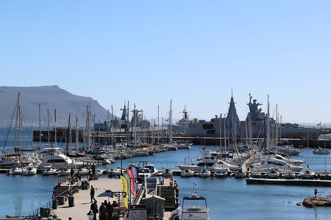 Supersaver: Cape of Good Hope and Cape Point Day Tour from Cape Town - Boulders Beach brings you close to African penguins